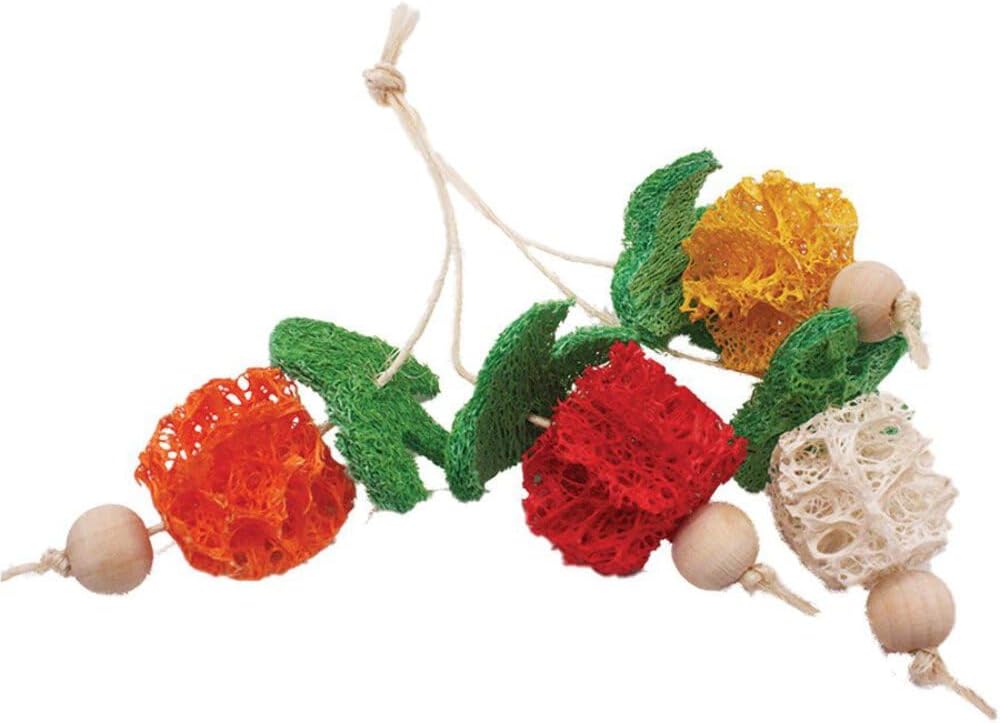 Juguete A&E Nibbles de Esponja Racimo de frutas para Pequeño Mamíferos