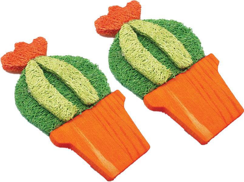 Juguete A&E Nibbles de Esponja Barrel Cactus para Pequeño Mamíferos