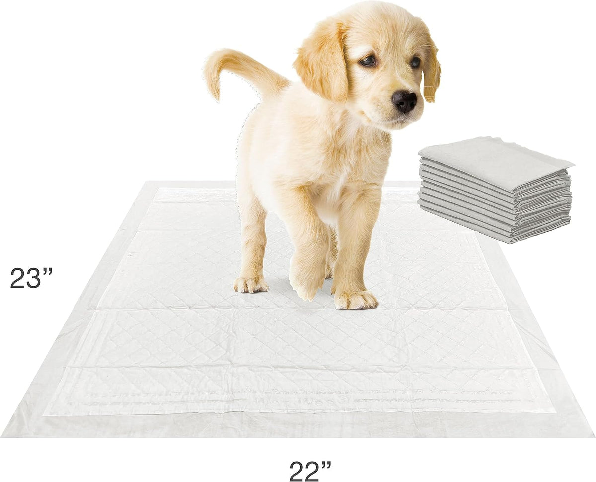 Wee-Wee Pads Tapete Entrenador Insta-Rise Border Pads para Perro