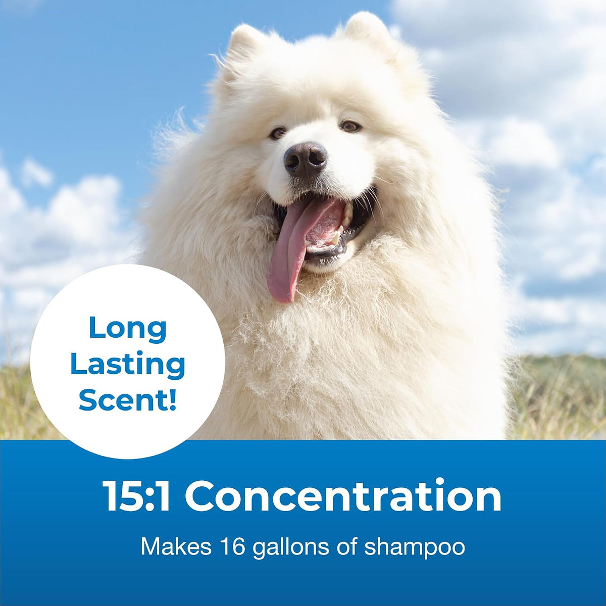 Champú Fresh 'n Clean® Snowy-Coat® Blanqueador Concentrado 15:1, Esencia de Vainilla