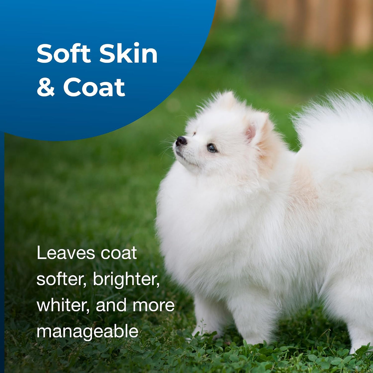Champú Fresh 'n Clean® Snowy-Coat® Blanqueador Concentrado 15:1, Esencia de Vainilla