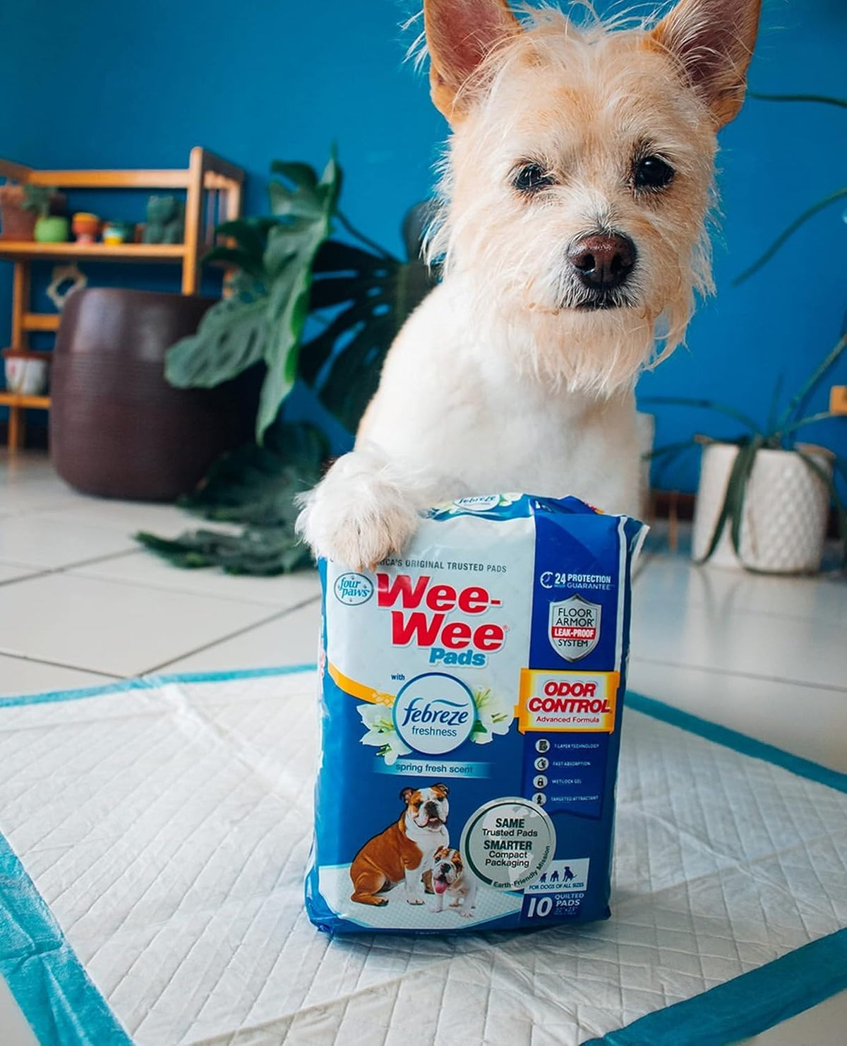 Wee-Wee Pads Tapete entrenador Control de olor con Febreze