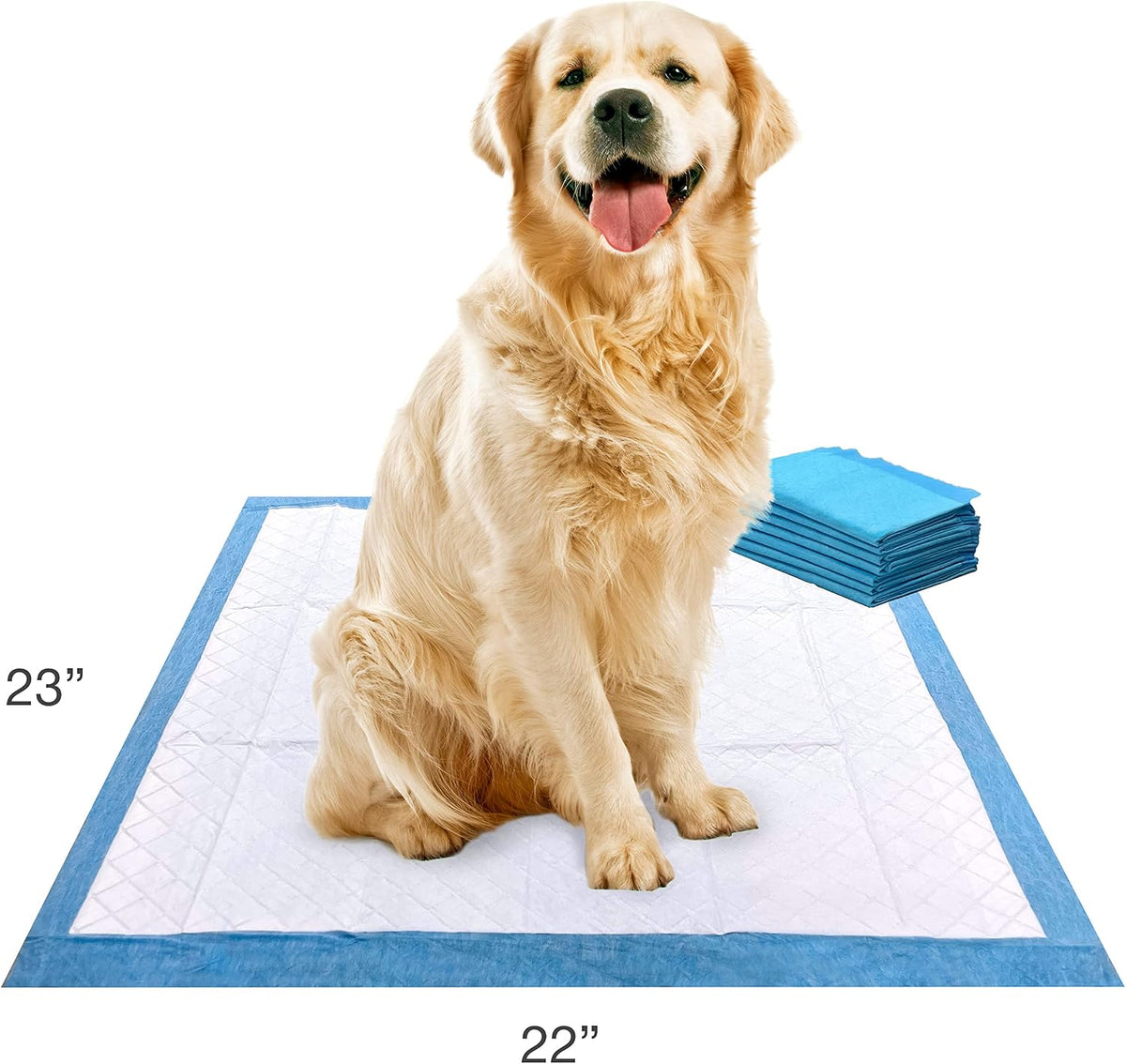 Wee-Wee Pads Tapete Entrenador para Perro