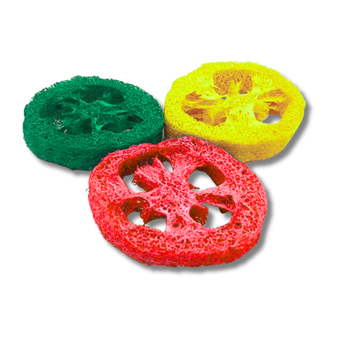 Juguete A&E Nibbles de Esponja Rebanadas para Pequeño Mamíferos