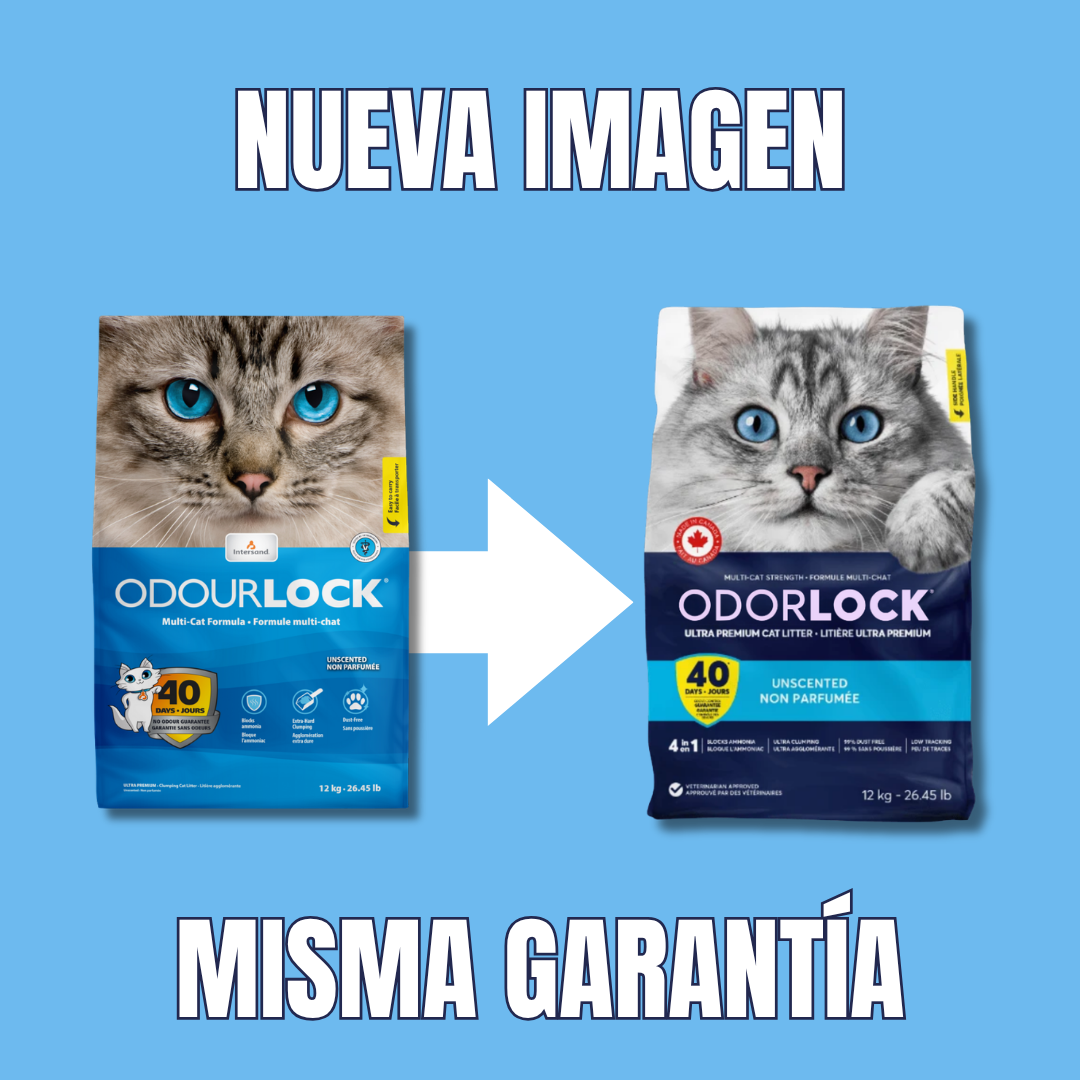 Intersand Odorlock Arena Aglutinante Fórmula Sin Aroma