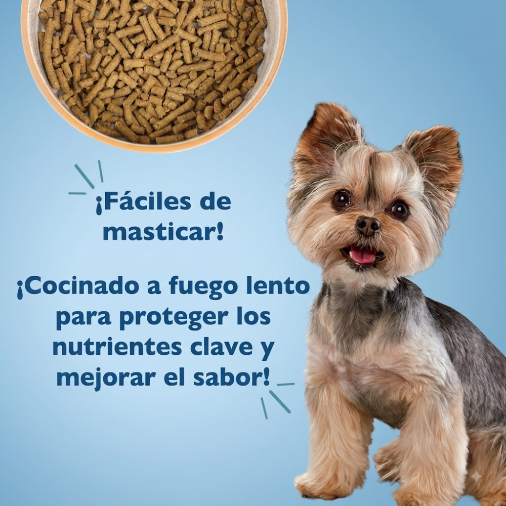 Bil-Jac Senior Raza Pequeña Perro Adulto Mayor
