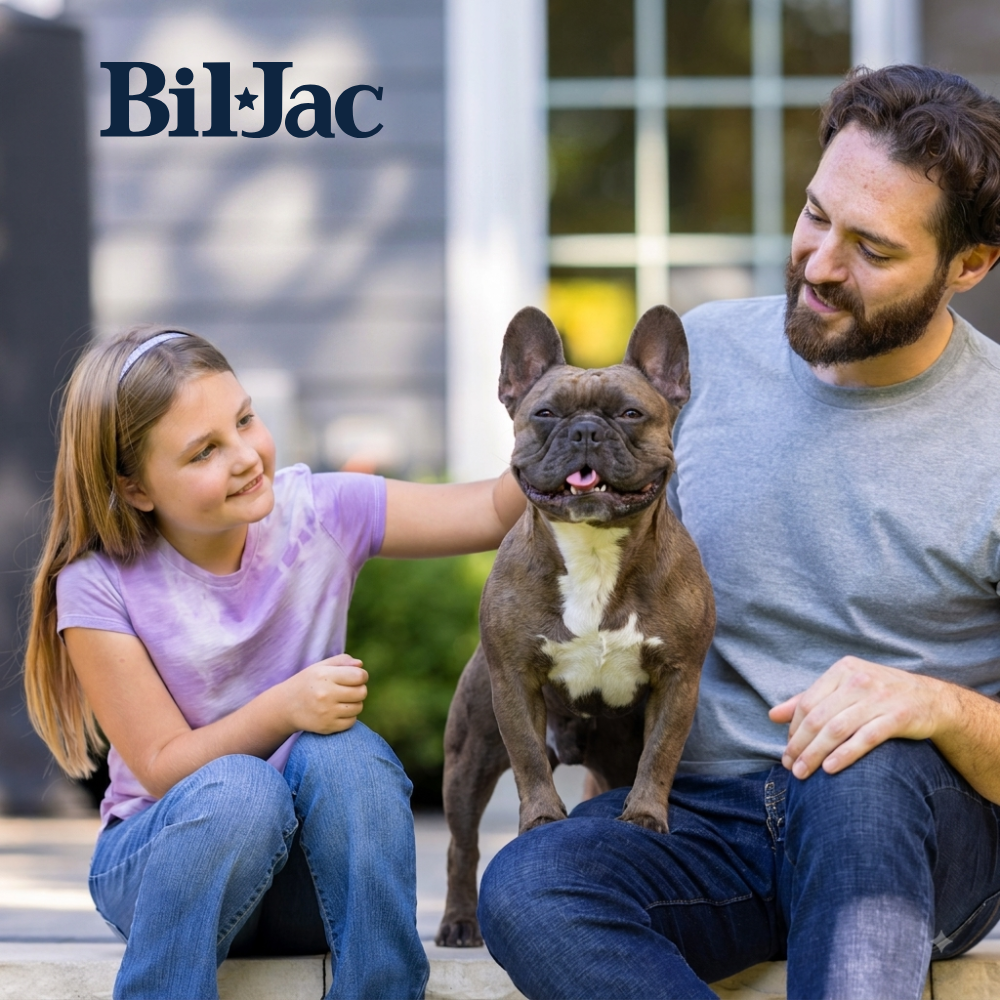 Bil-Jac Senior Raza Pequeña Perro Adulto Mayor