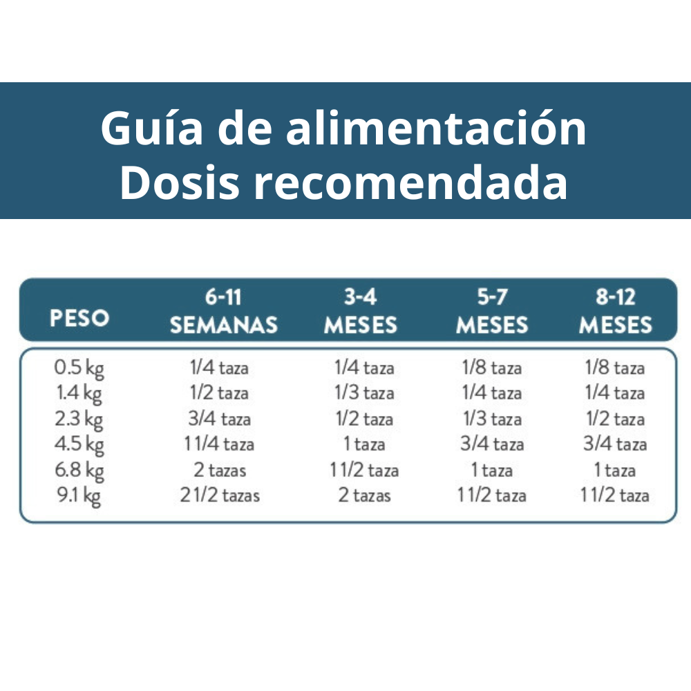 Bil-Jac Cachorro Raza Pequeña
