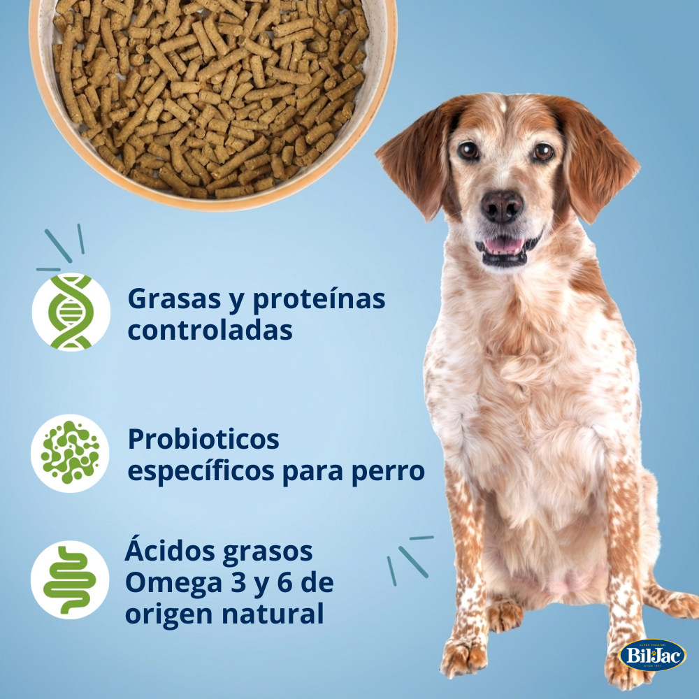 Bil-Jac Select formula perro adulto mayor