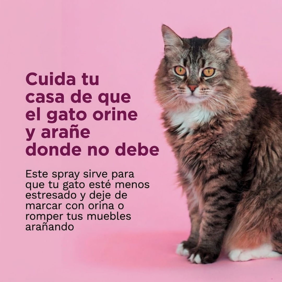 Comfort Zone Spray Calmante para Gatos