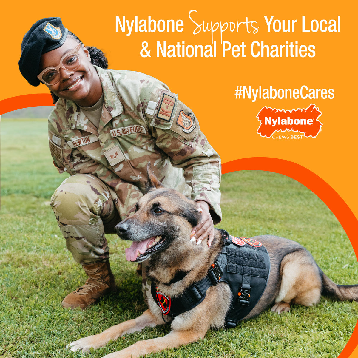 DENTAL NYLABONE