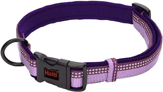 HALTI Collar Morado