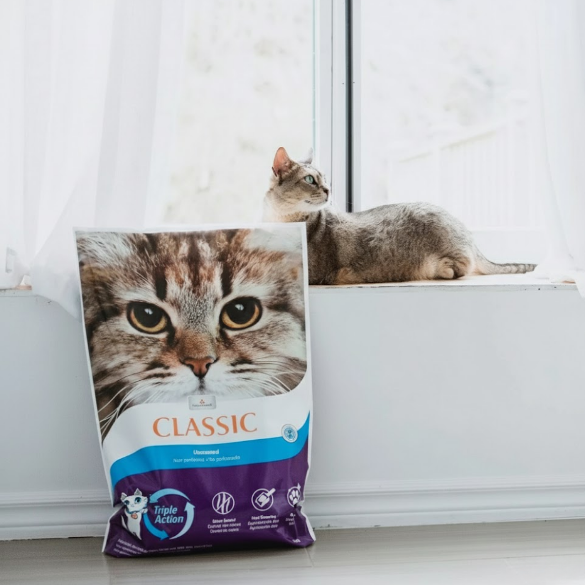 Intersand Arena Classic sin aroma para Gato