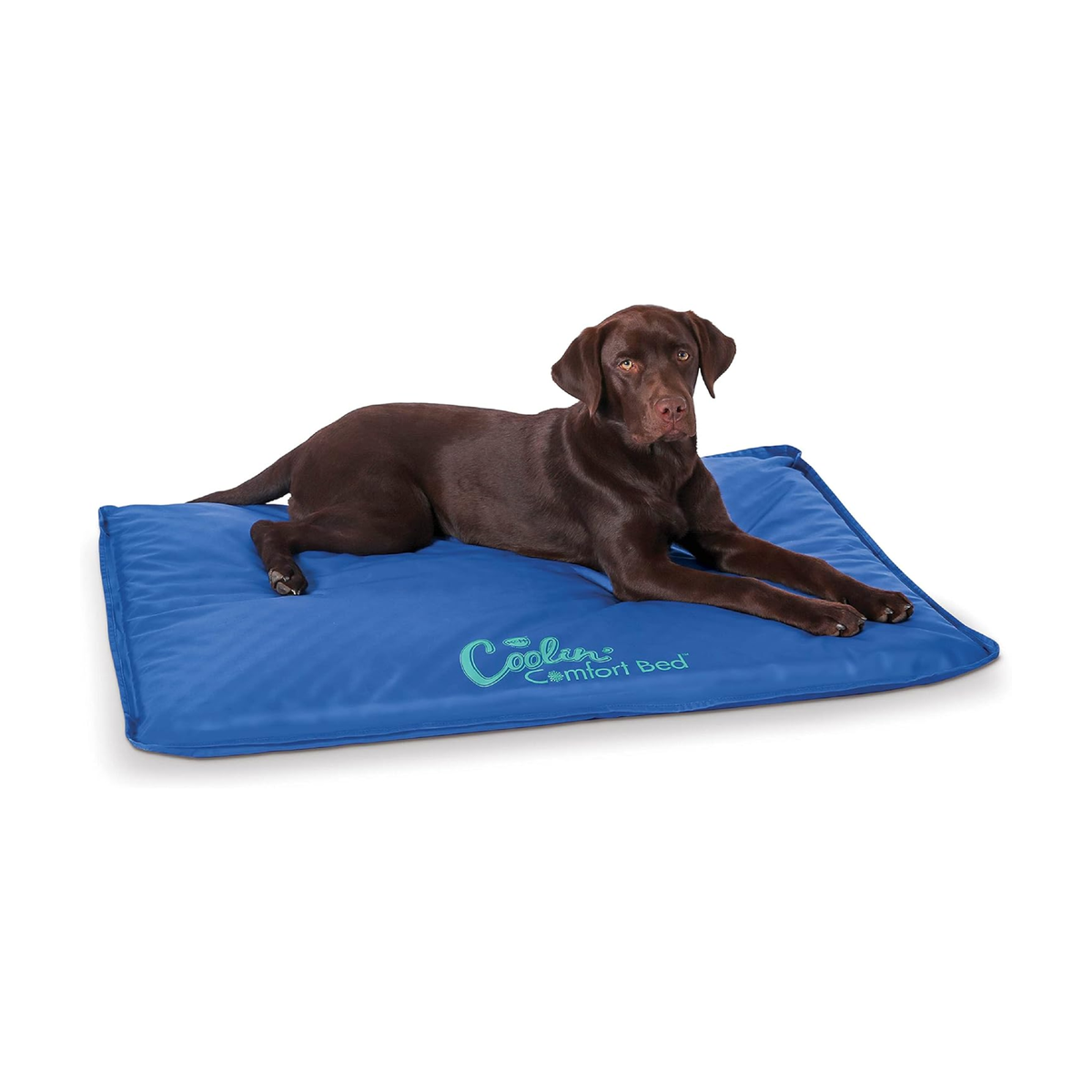 K&H Cama soporte recuperación médica Coolin' Pet grande azul, para perro