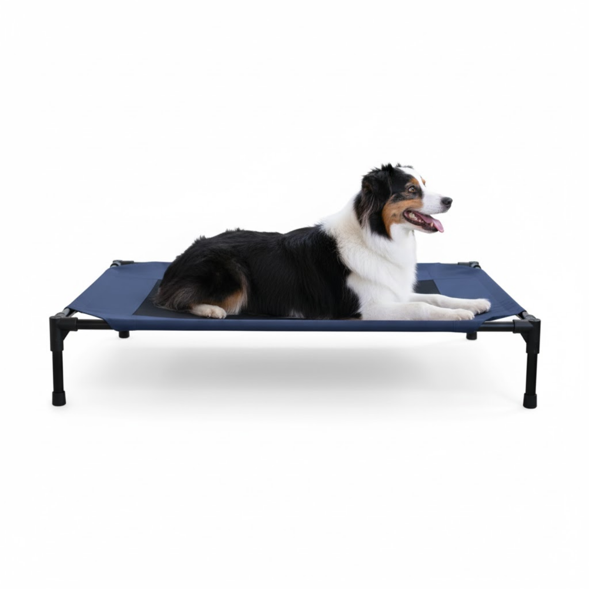 K&H Cama Elevada para Perro Raza Grande