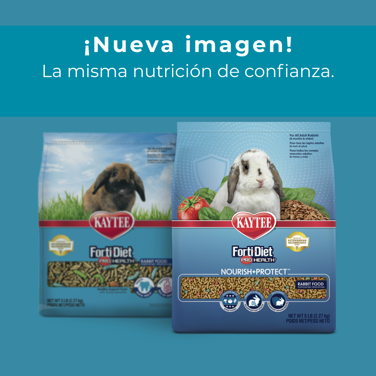 Kaytee Forti-Diet ProHealth Conejo Adulto