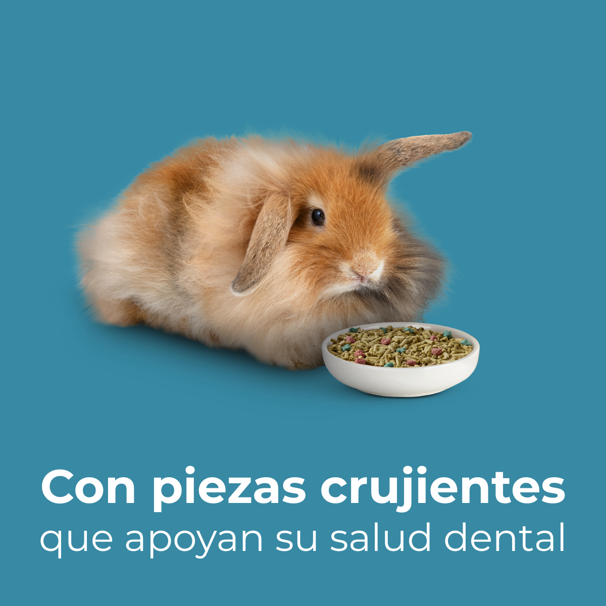 Kaytee Forti-Diet ProHealth Conejo Adulto