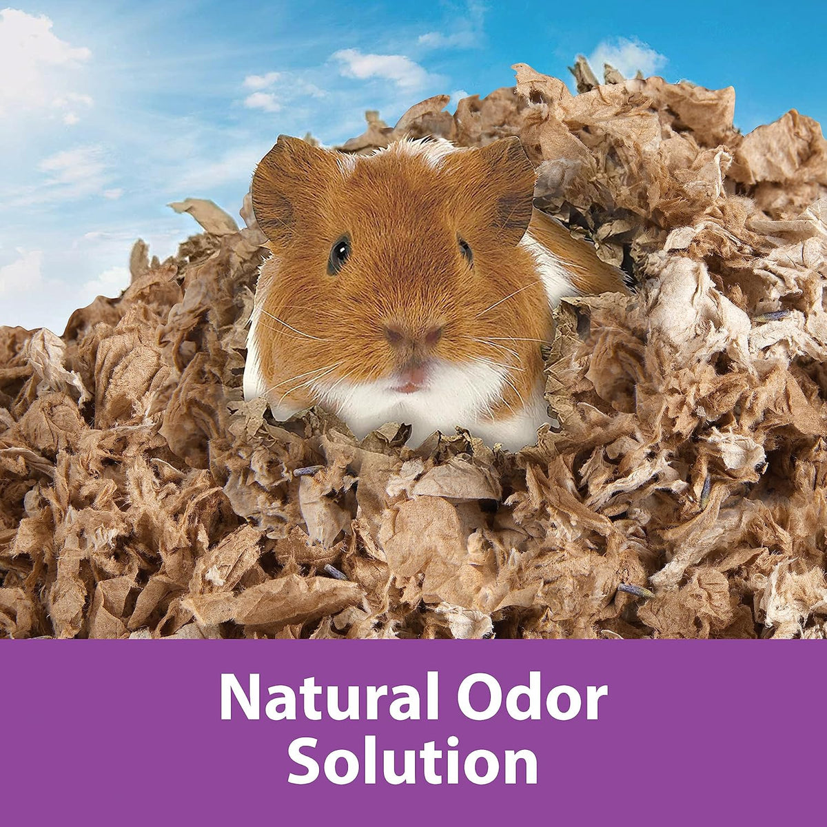 Kaytee sustrato antiolores Clean & Cozy Natural Lavanda