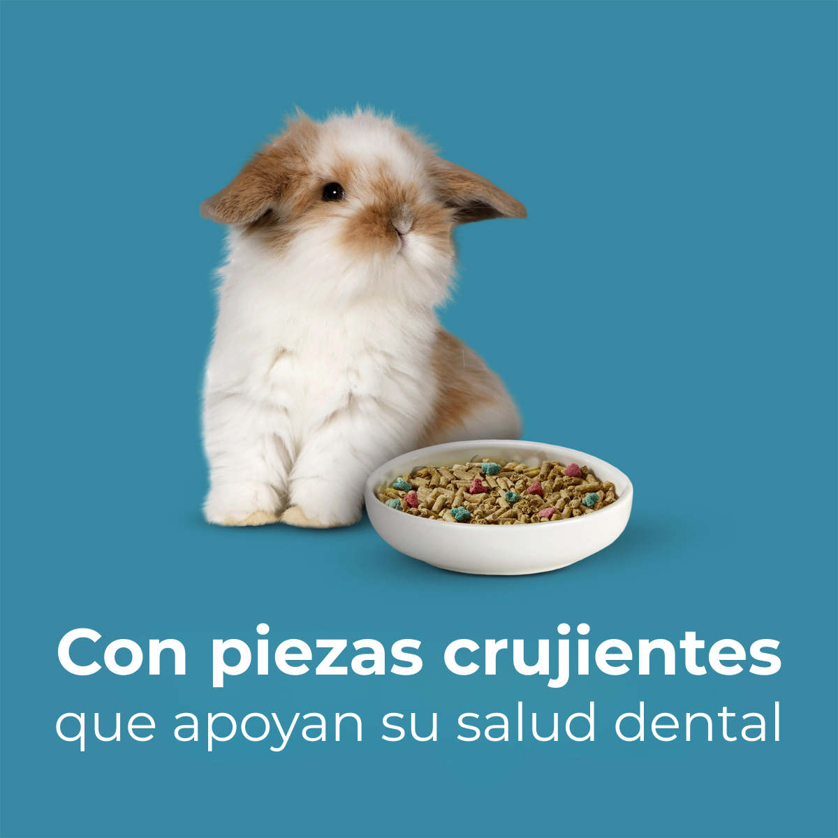 Kaytee Forti-Diet ProHealth Conejo Juvenil