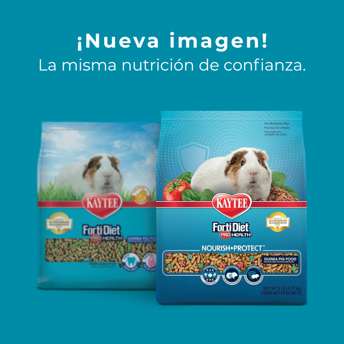 Kaytee Forti-Diet ProHealth Cuyo