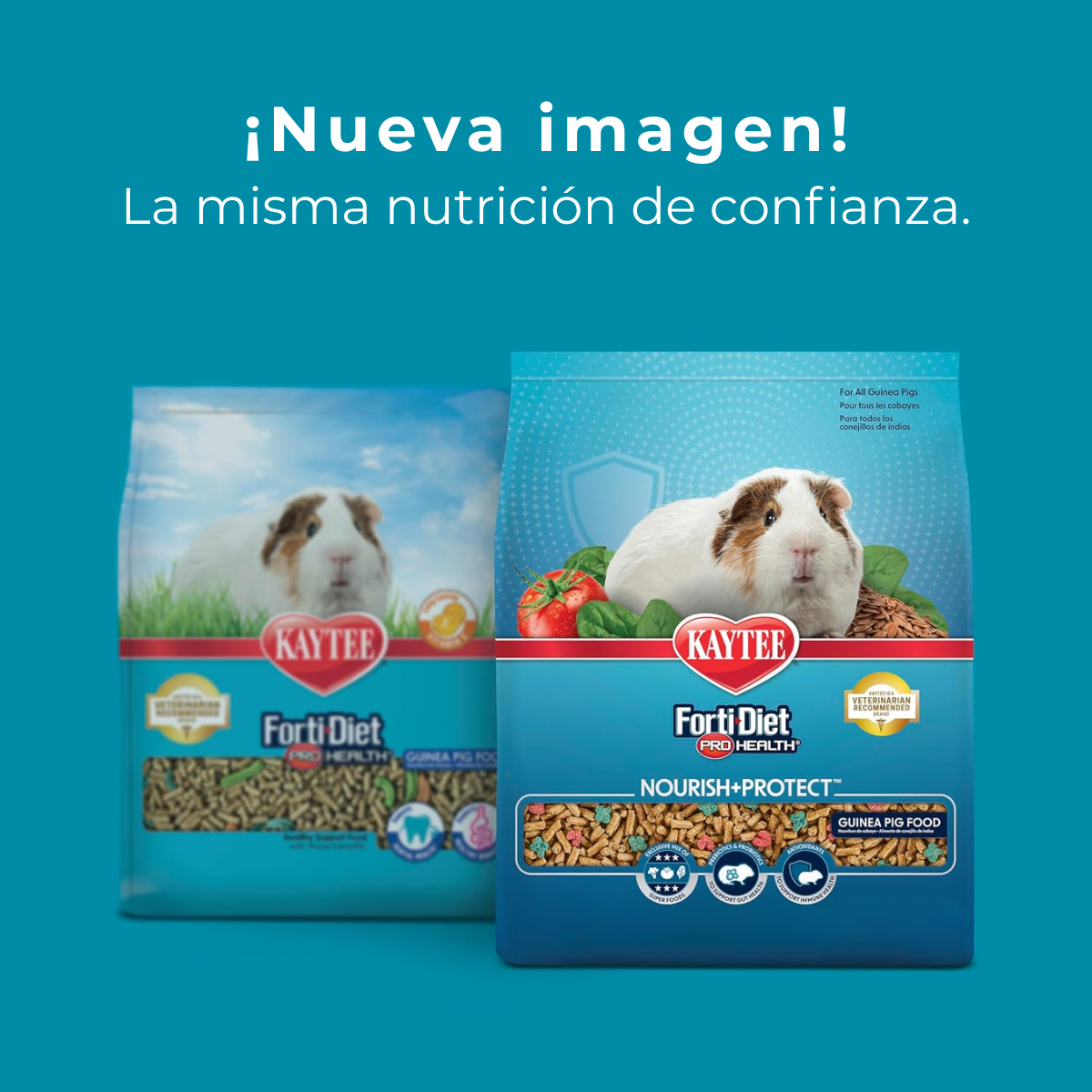 Kaytee Forti-Diet ProHealth Cuyo