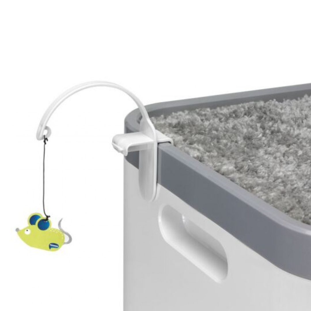 Moderna Arenero para Gato Cat Concept
