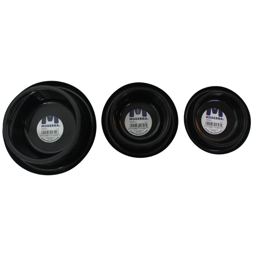 Moderna Plato Trendy Dinner Luxurious para Gato
