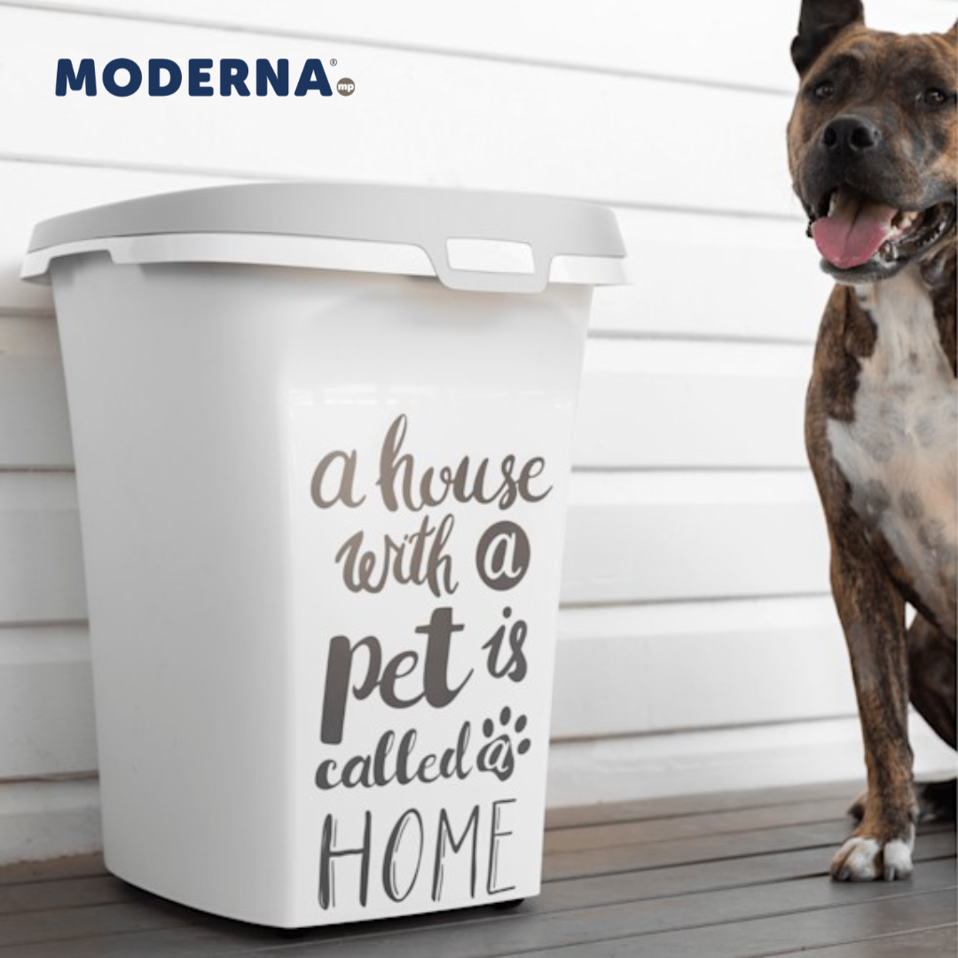 Moderna Contenedor de alimento Trendy Story Pet Wisdom