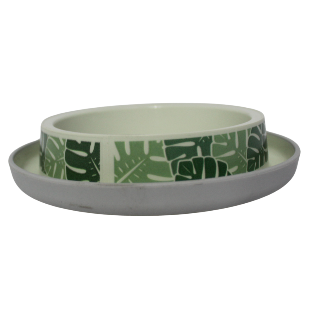 Moderna Plato para Gato Trendy Dinner Eden