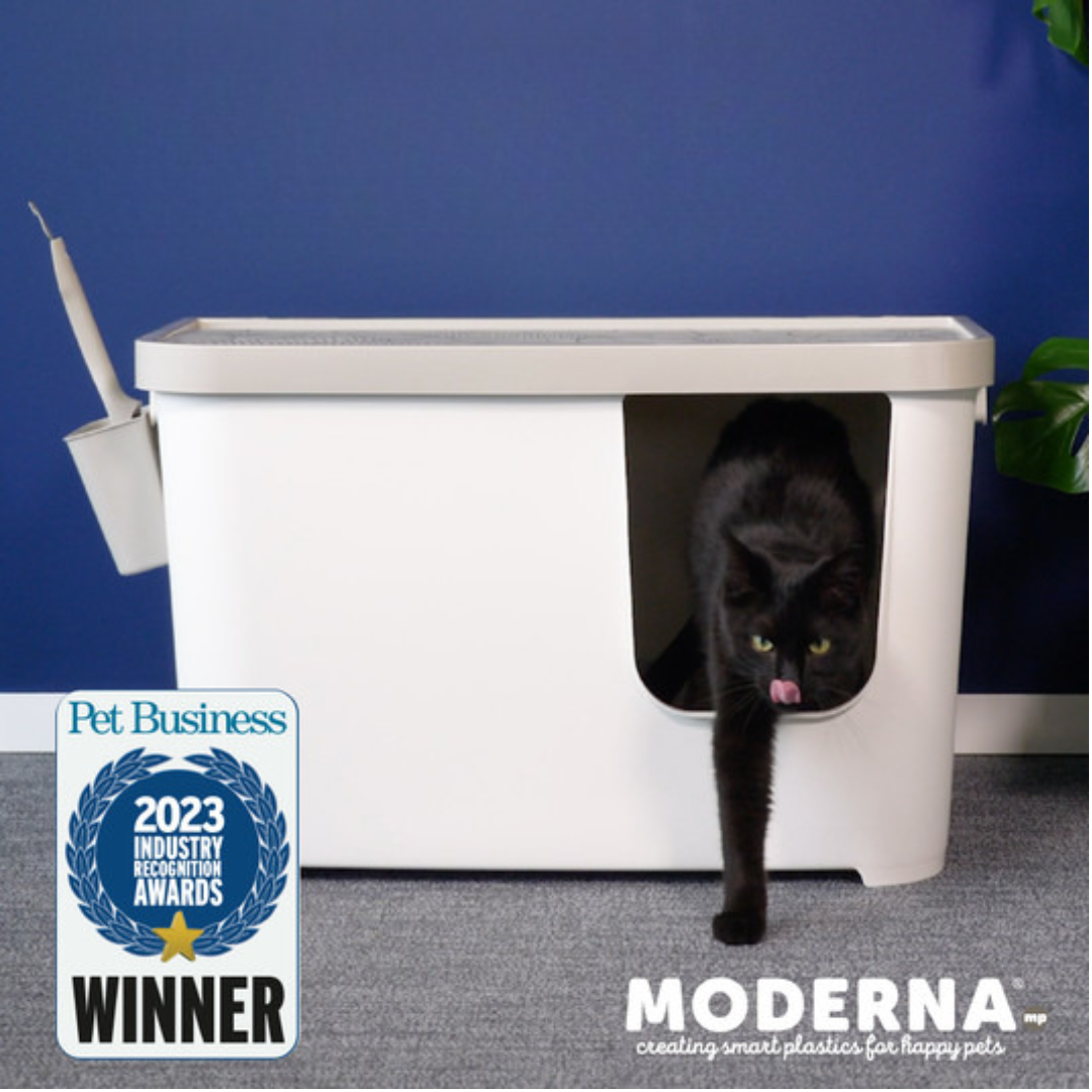 Moderna Arenero para Gato Casetta Soft White
