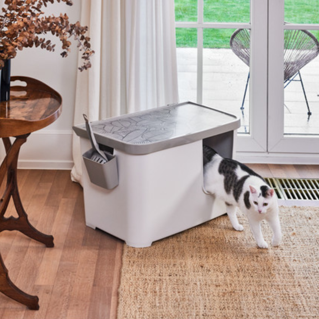 Moderna Arenero para Gato Casetta Soft White