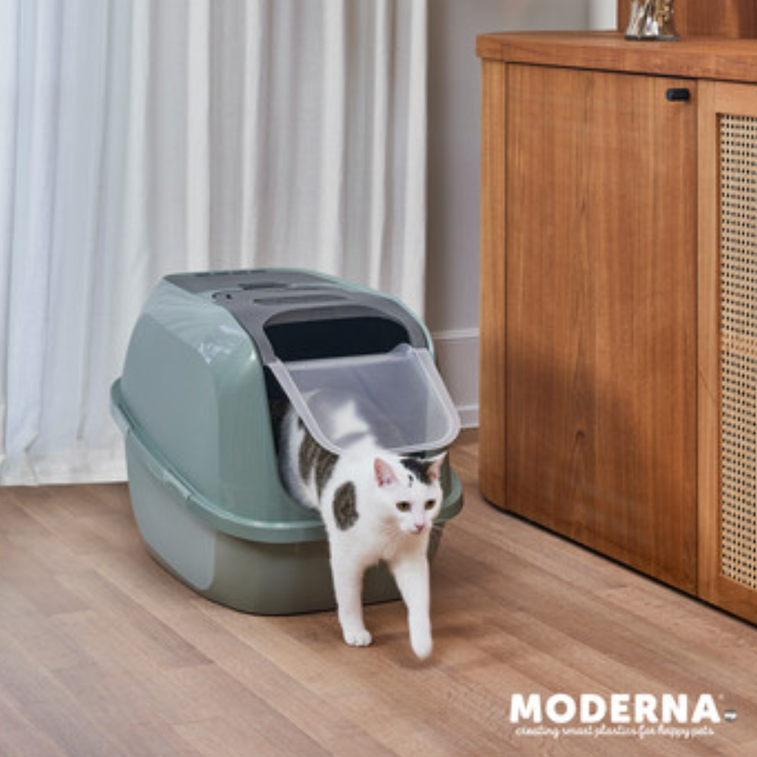 Moderna Arenero para Gato Mega Deluxe