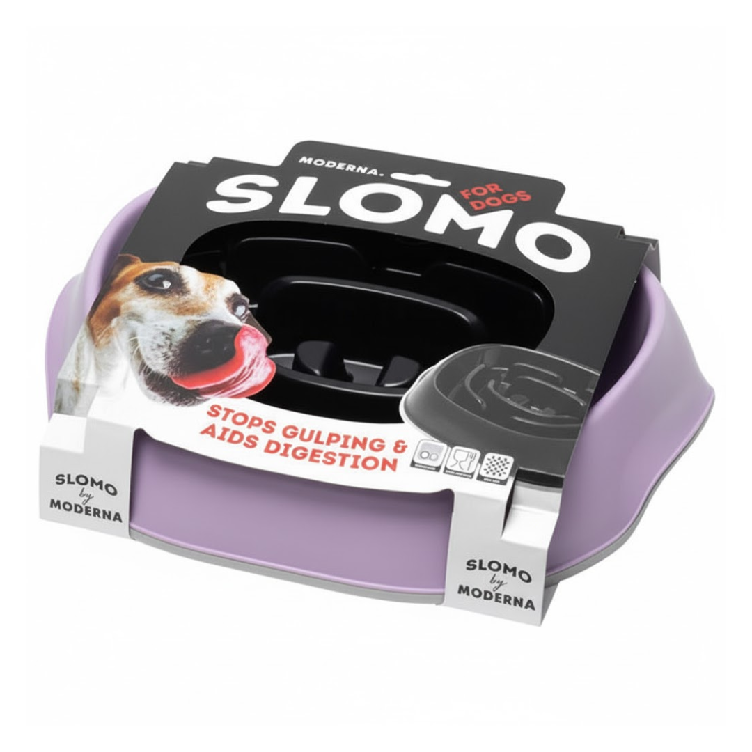 Moderna Plato para alimentación lenta SLOMO