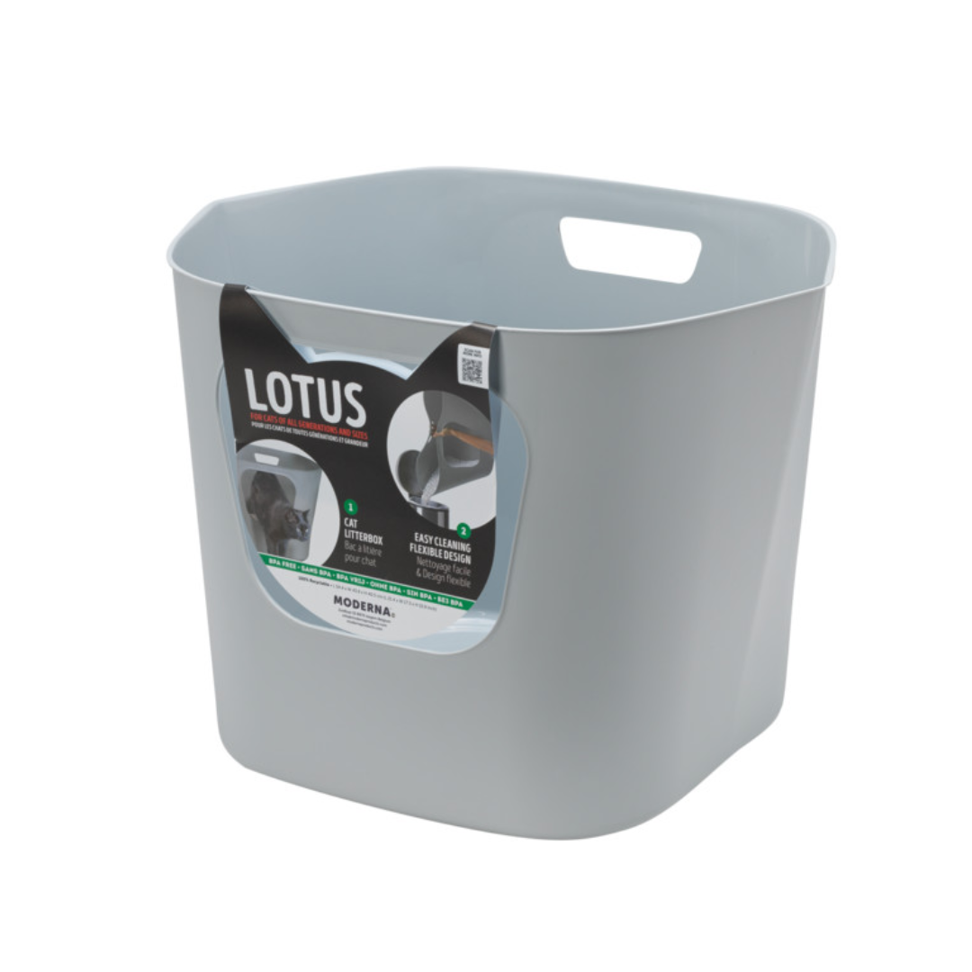 Moderna Arenero Lotus abierto para Gato