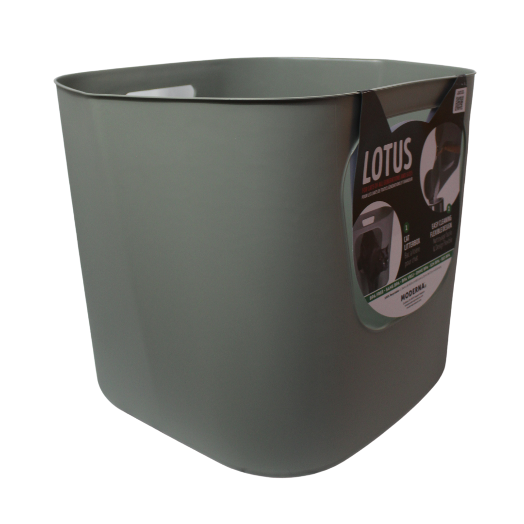 Moderna Arenero Lotus abierto para Gato