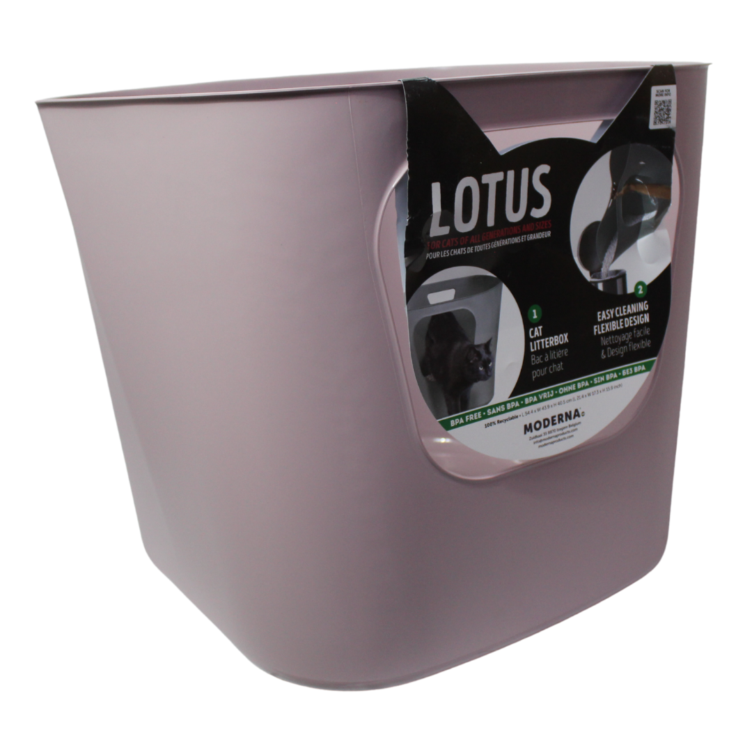 Moderna Arenero Lotus abierto para Gato