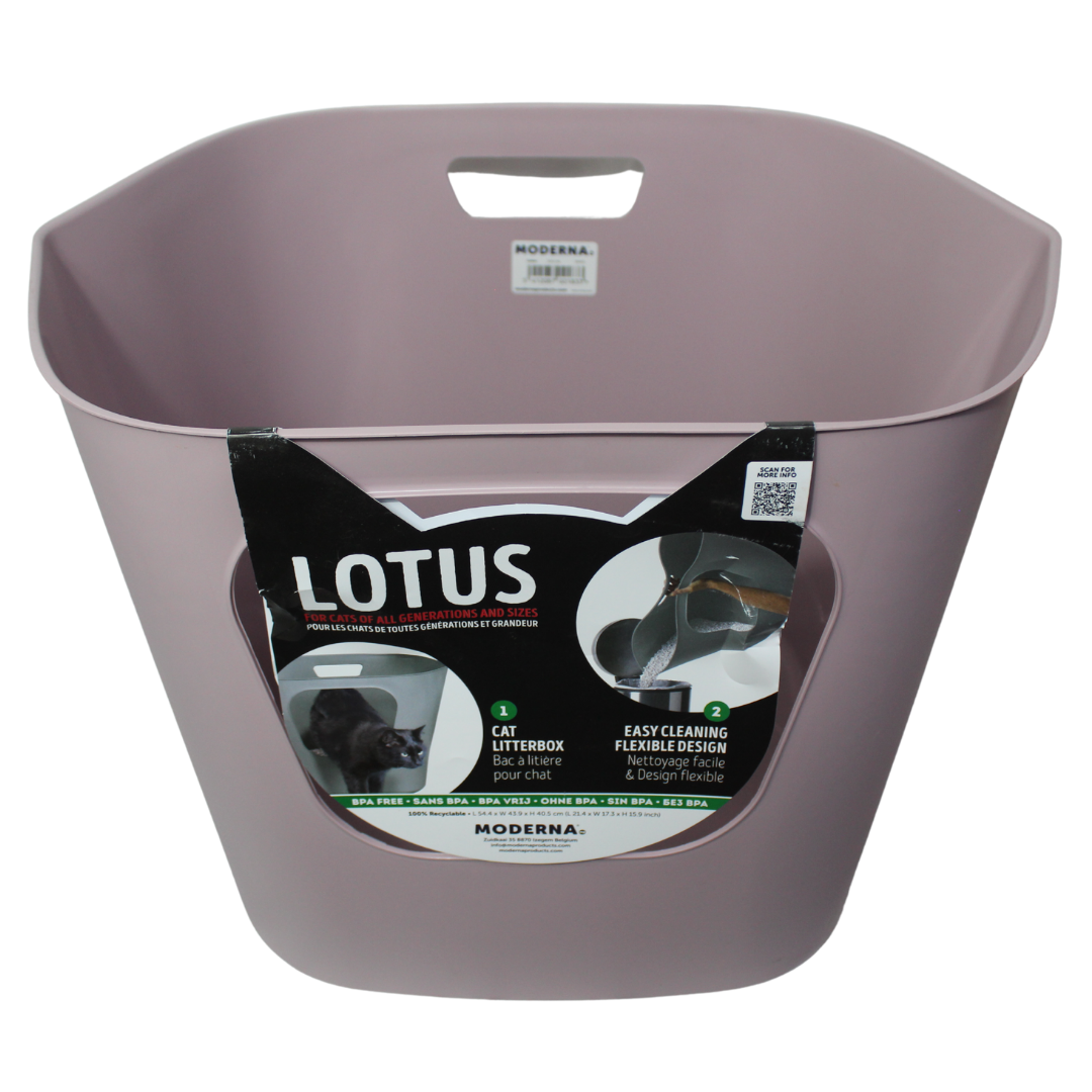Moderna Arenero Lotus abierto para Gato