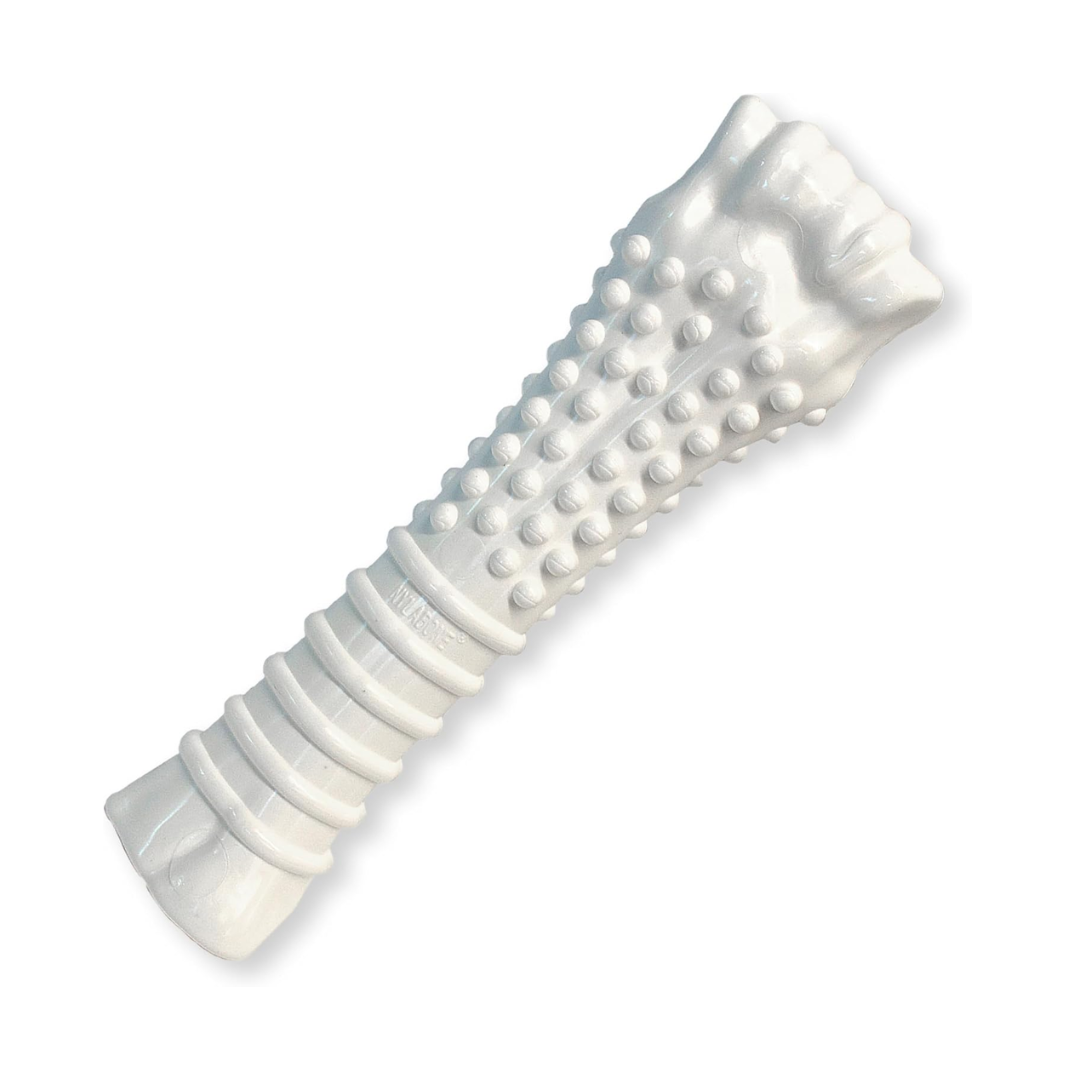 Nylabone Juguete Power Chew con Textura