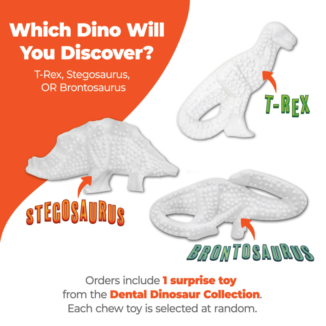 Nylabone Juguete Dura Chew Dental Dinosaurio