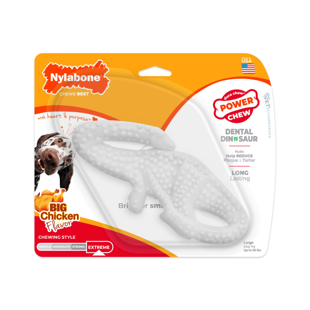 Nylabone Juguete Dura Chew Dental Dinosaurio
