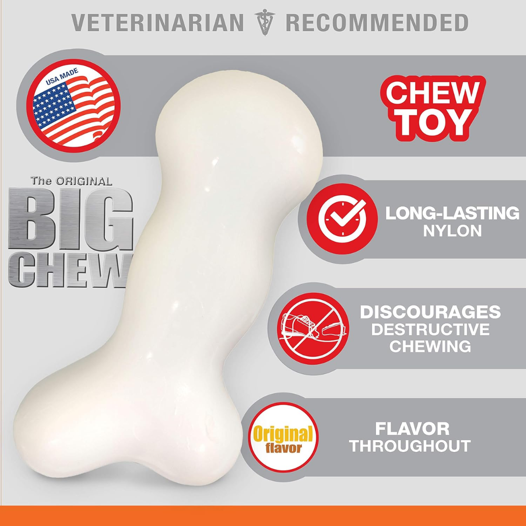 Nylabone Juguete Dura Chew Galileo Original
