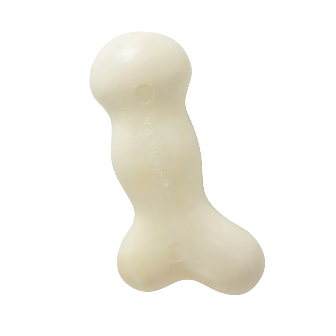 Nylabone Juguete Dura Chew Galileo Original