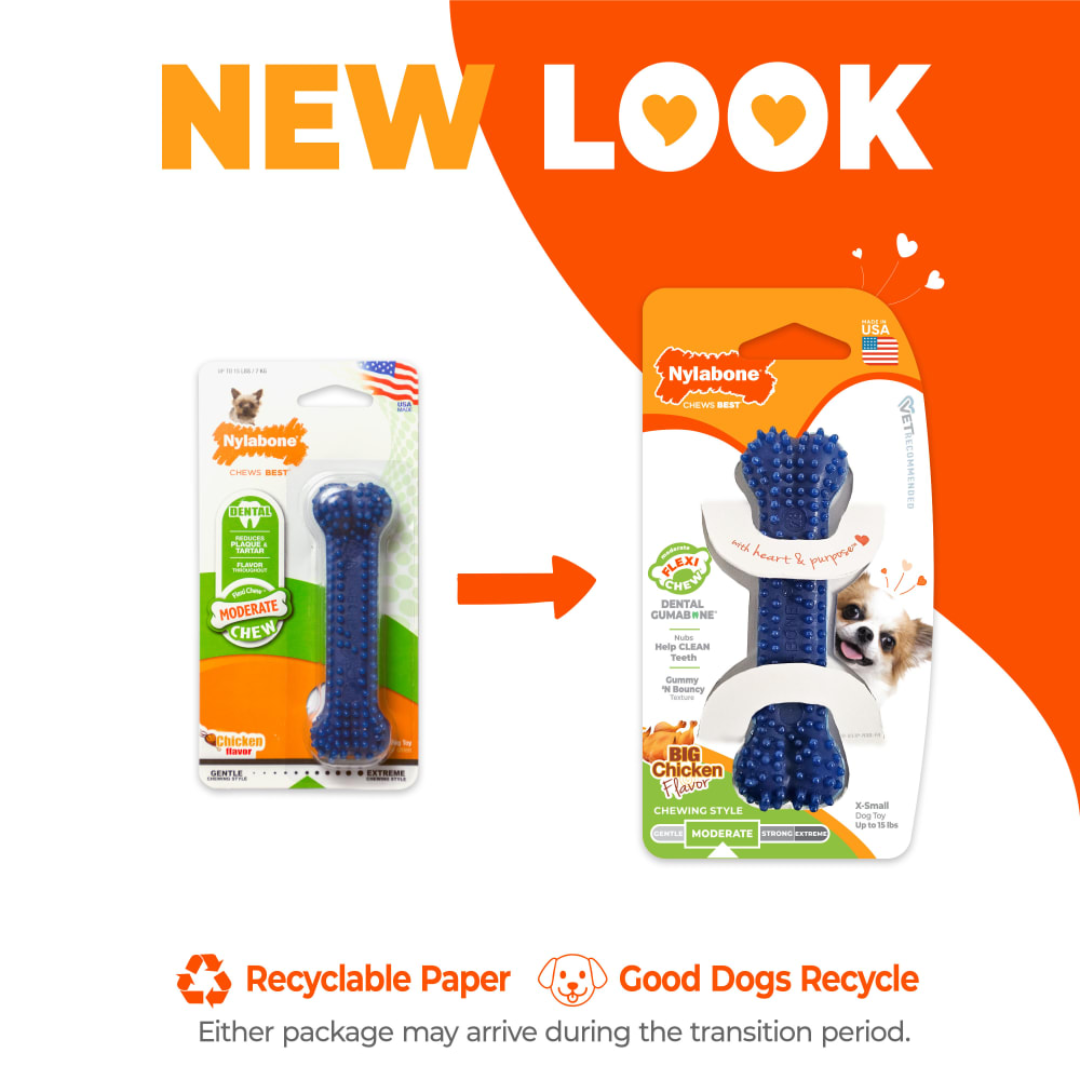 Nylabone Juguete Power Chew Dental