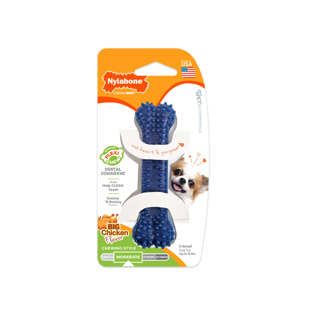 Nylabone Juguete Power Chew Dental