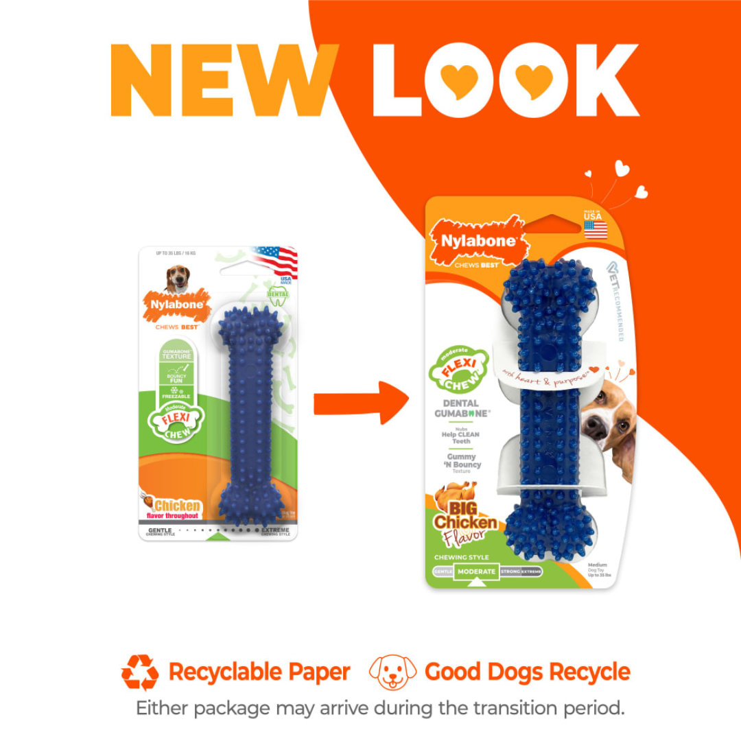 Nylabone Juguete Moderate Dental