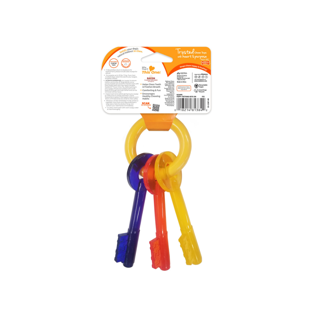 Nylabone Cachorro Juguete Llaves