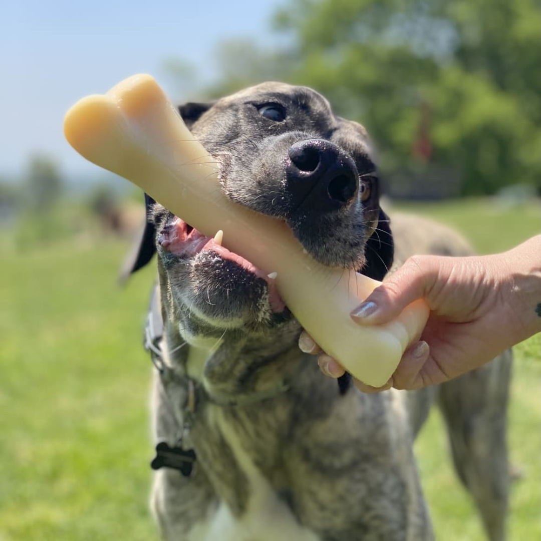 Nylabone Juguete Power Chew Hueso Monster Pollo