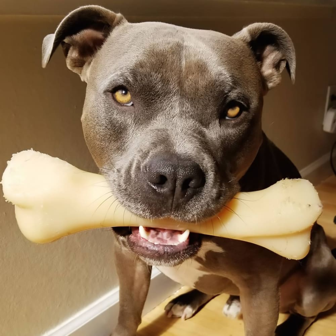 Nylabone Juguete Power Chew Hueso Monster Pollo