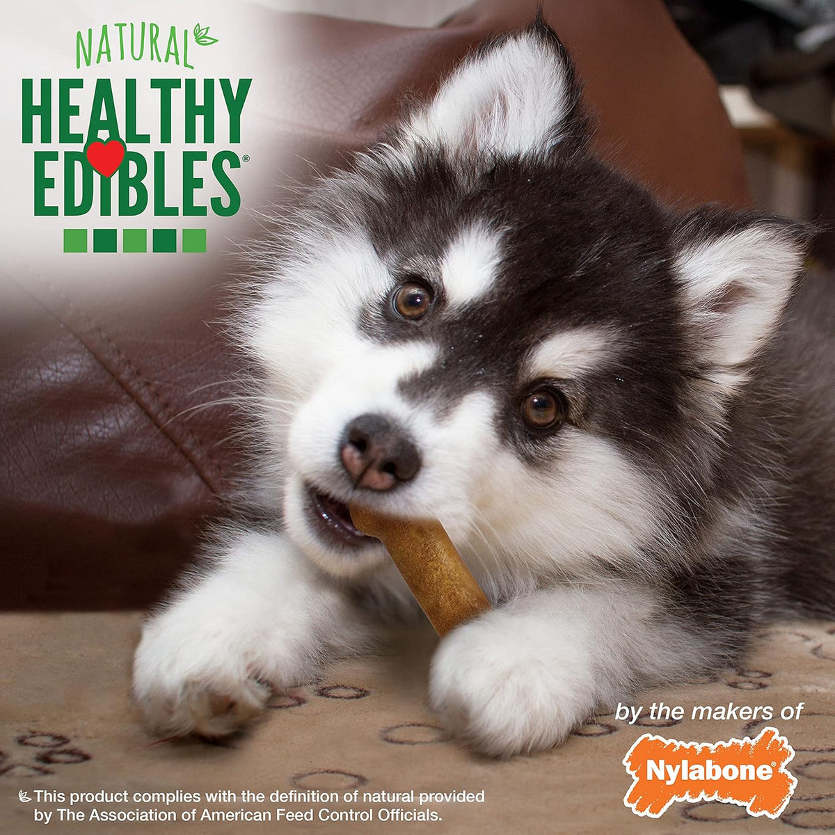Nylabone Healthy Edibles Premios Cachorro Cordero y Manzana