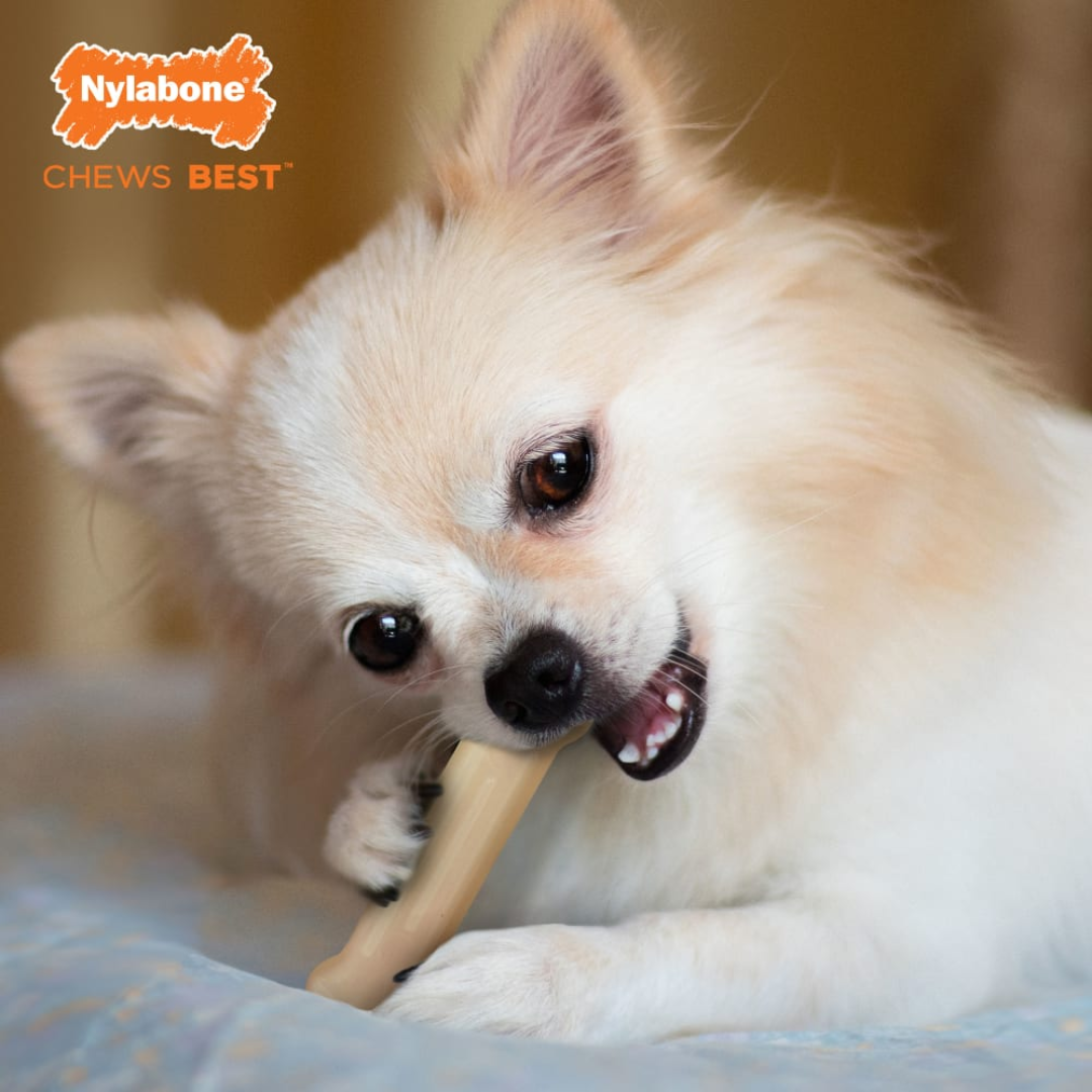 Nylabone Juguete Flexi Chew 2 pack